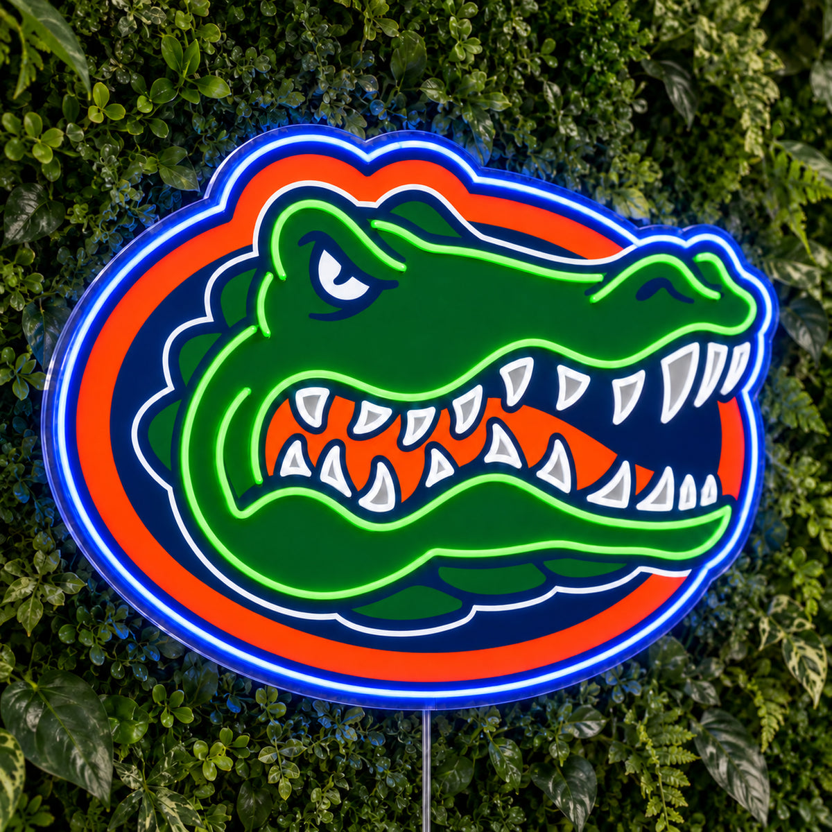 Florida Gators LED Neon Sign, featuring team logo displayed on a green foliage wall.