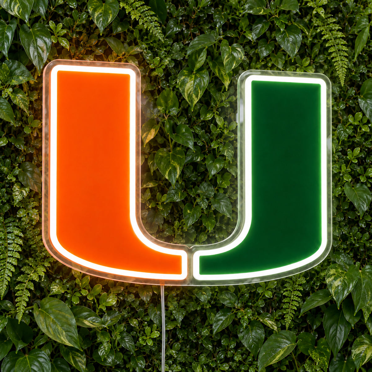 Miami Hurricanes LED Neon Sign, featuring team logo displayed on a green foliage wall.