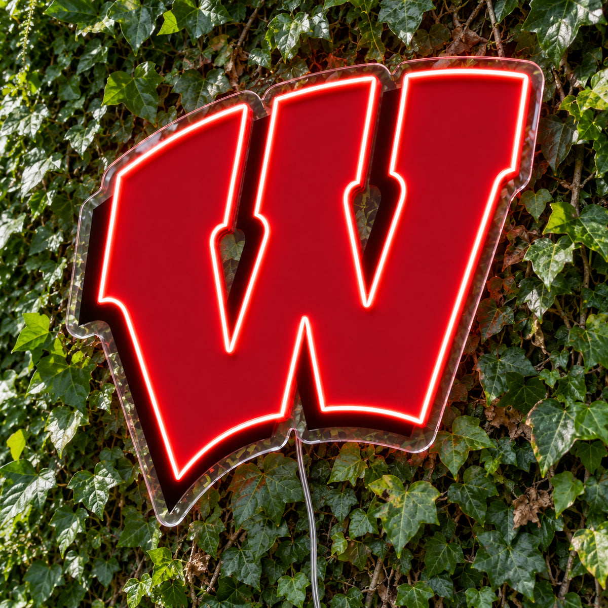Wisconsin Badgers LED Neon Sign, featuring team logo displayed on a green foliage wall.