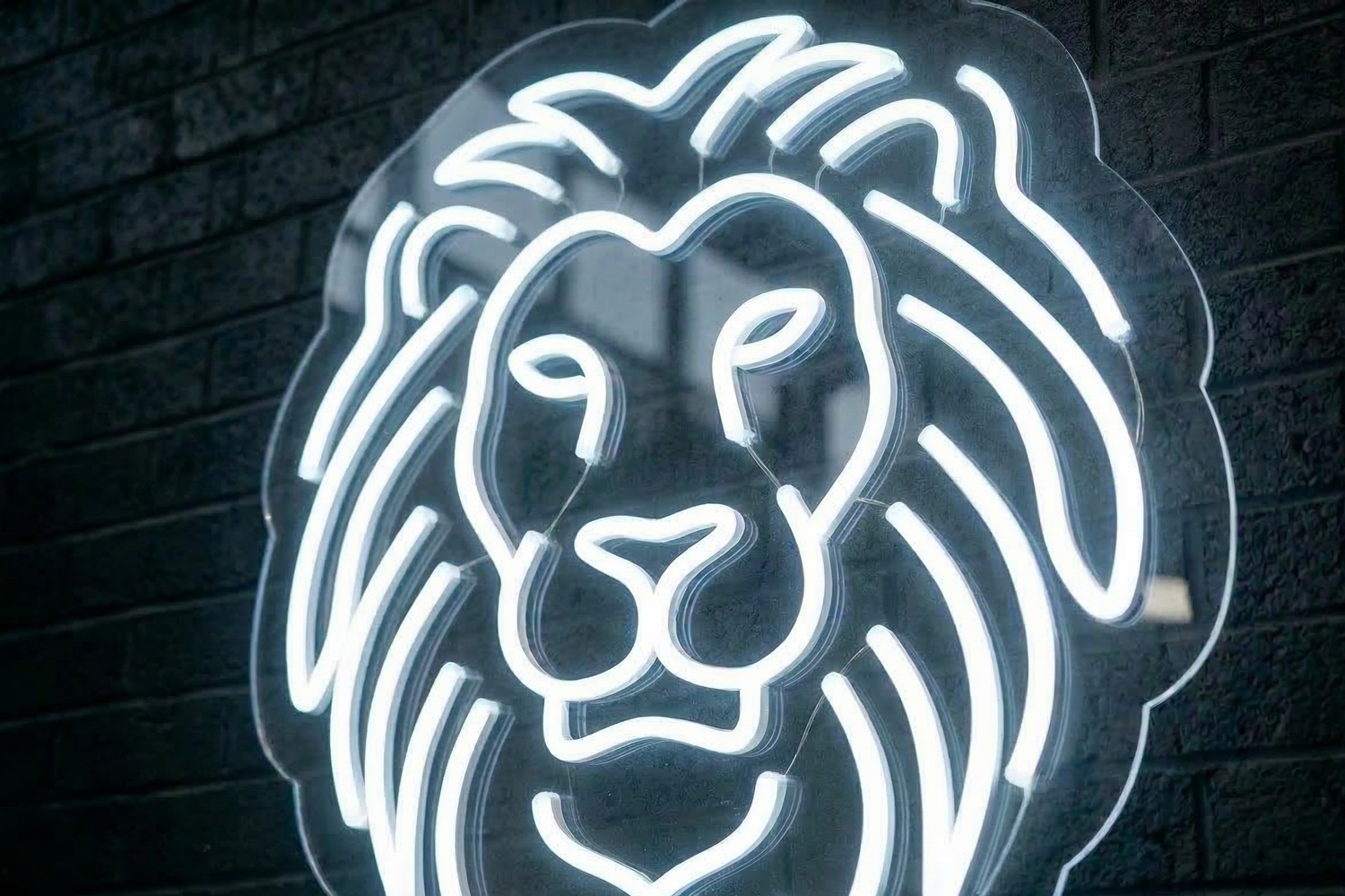 Custom LED neon sign for a Cairns restaurant or café, bold LED neon mounted on a tropical venue wall