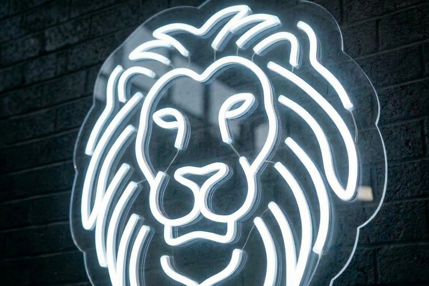 Custom white LED neon sign on an exposed brick wall inside a Surry Hills café, morning light, coffee cups on counter, photorealistic