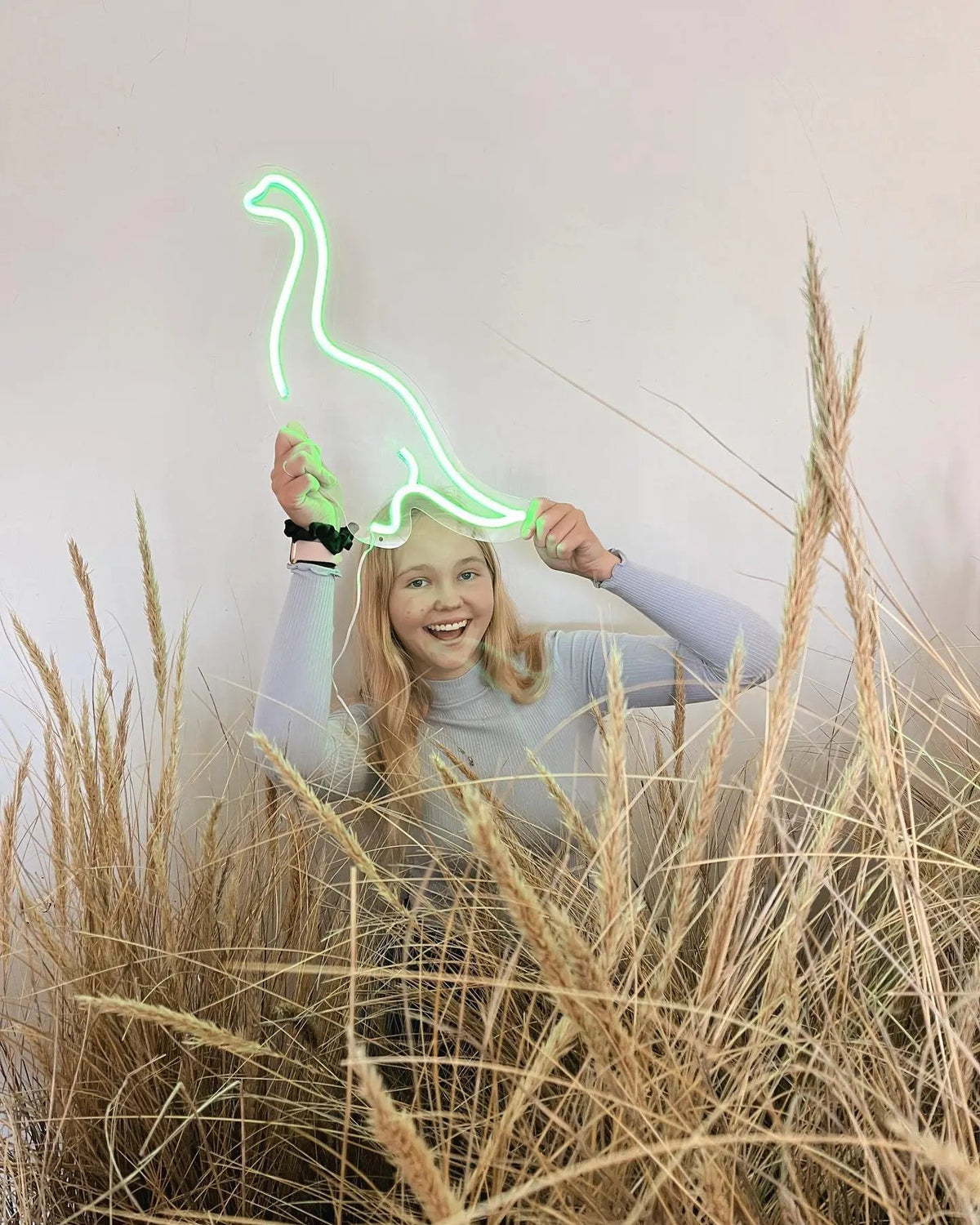 Dinosaur LED Neon Light Sign in green, featuring long-necked dinosaur outline held above a child.